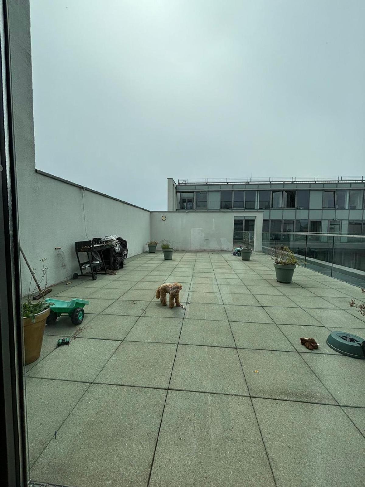 Wunderschoenes Zimmer In Einem Grossen Appartement Neben Dem Brandenburger Tor Berlin Exterior photo